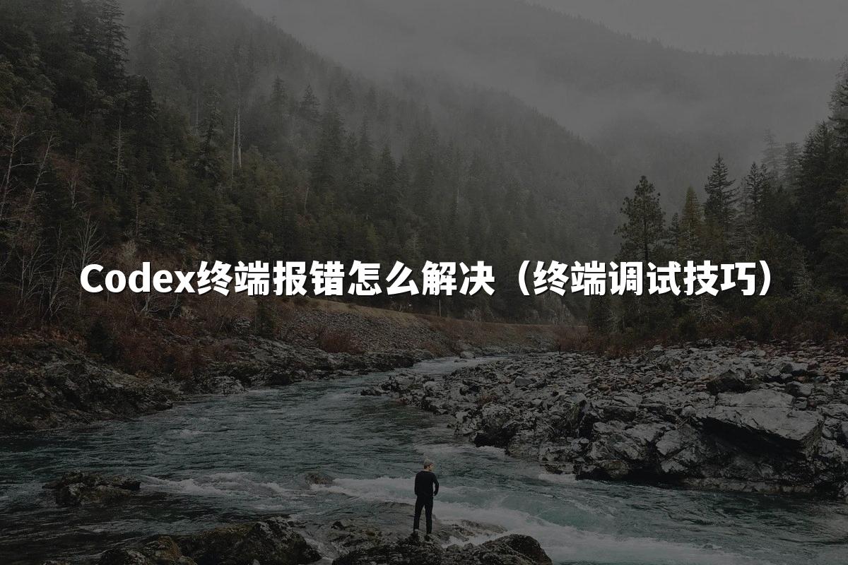 Codex终端报错怎么解决(终端调试技巧)