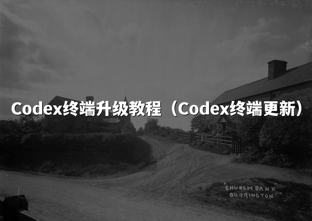 Codex终端升级教程（Codex终端更新）