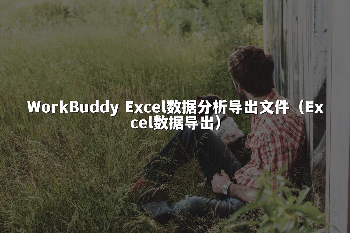 WorkBuddy Excel数据分析导出文件（Excel数据导出）