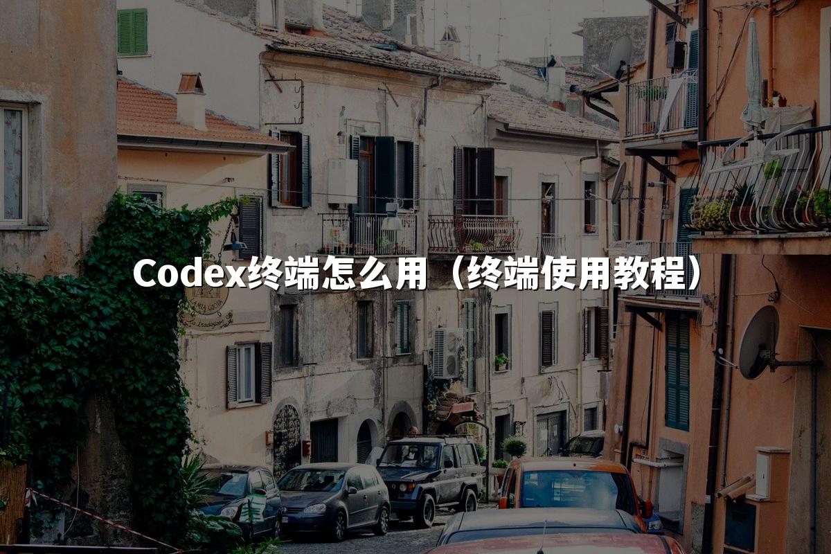 Codex终端怎么用(终端使用教程)