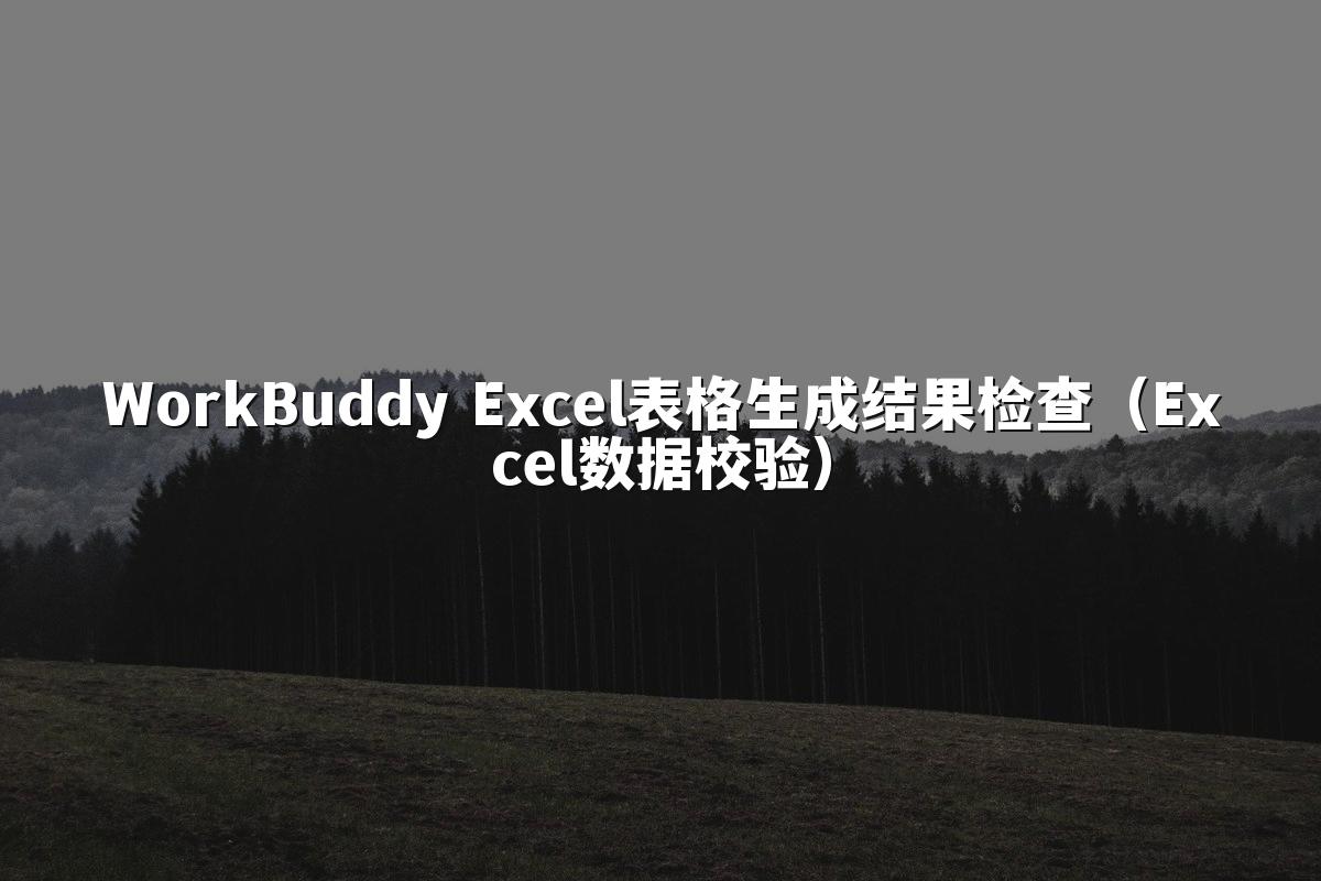 WorkBuddy Excel表格生成结果检查(Excel数据校验)
