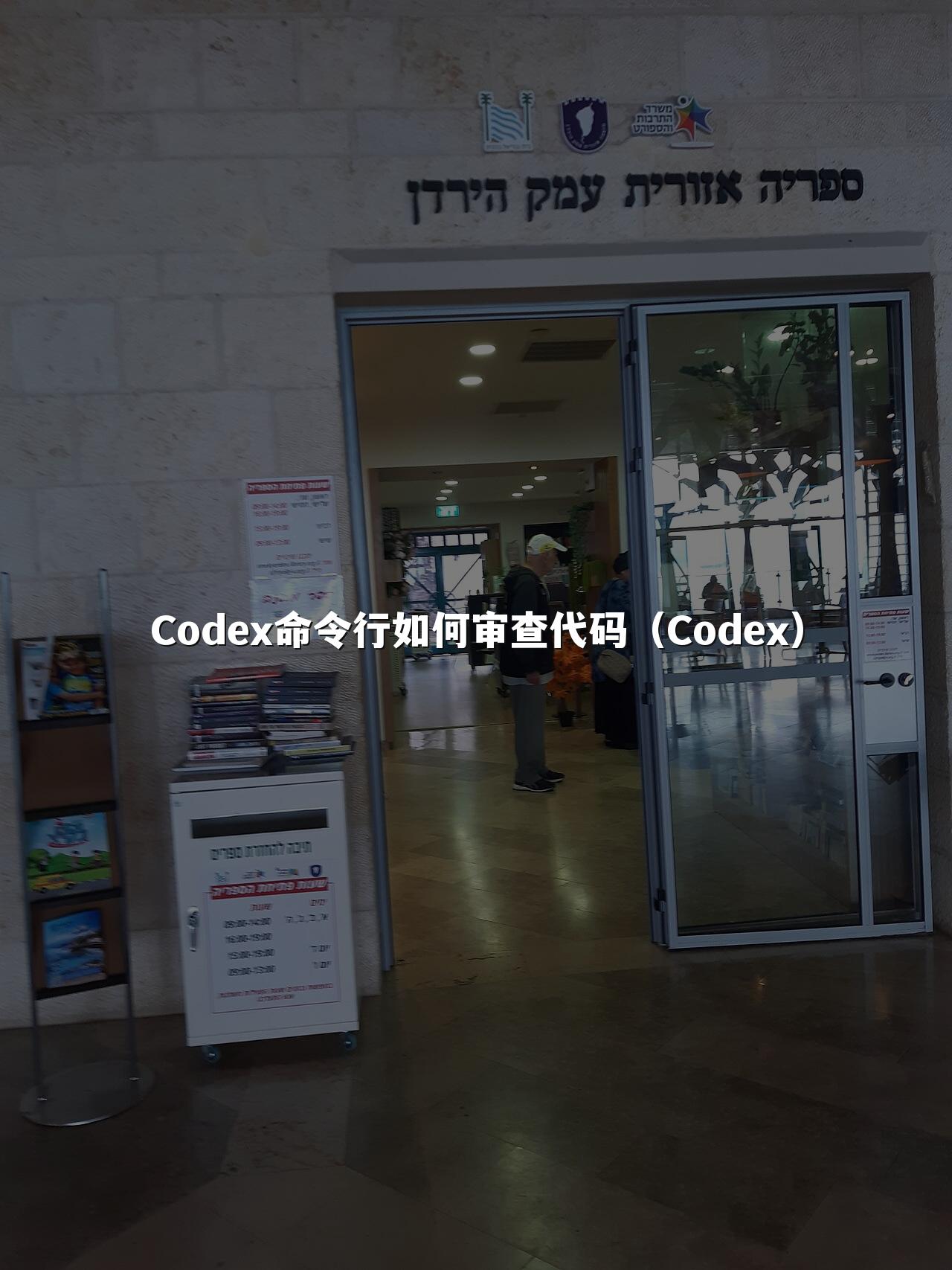 Codex命令行如何审查代码（Codex）