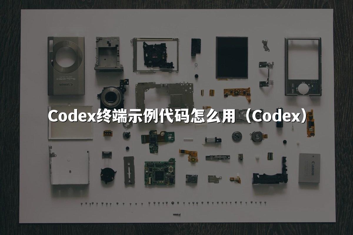 Codex终端示例代码怎么用（Codex）