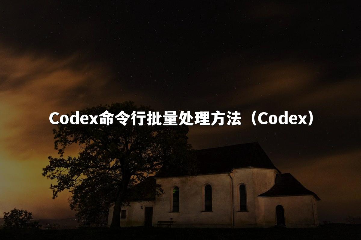 Codex命令行批量处理方法(Codex)