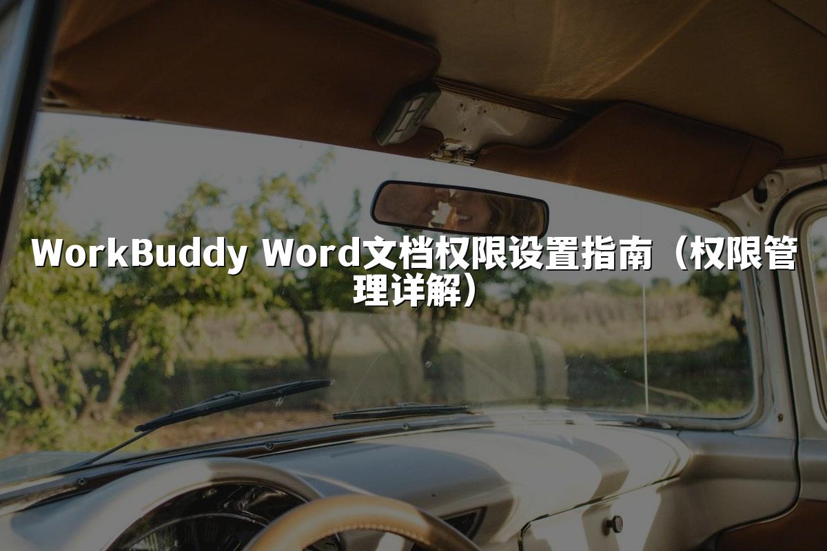 WorkBuddy Word文档权限设置指南(权限管理详解)
