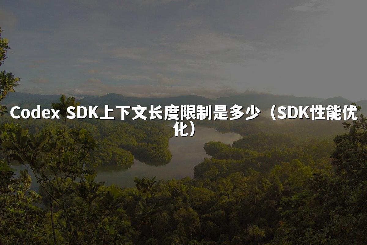Codex SDK上下文长度限制是多少(SDK性能优化)