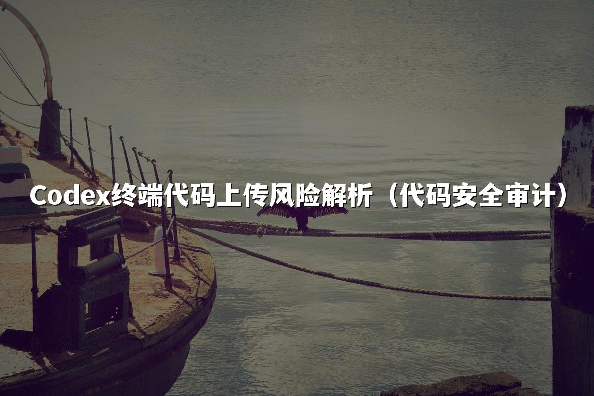 Codex终端代码上传风险解析（代码安全审计）