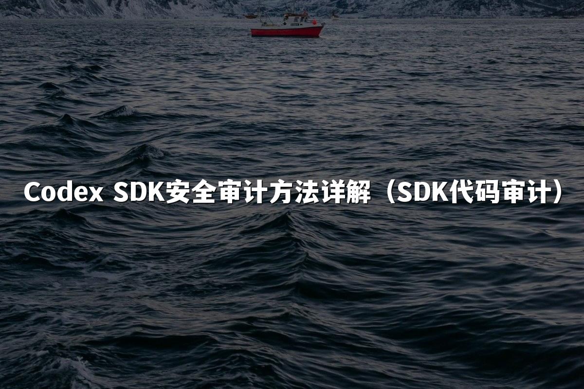 Codex SDK安全审计方法详解(SDK代码审计)
