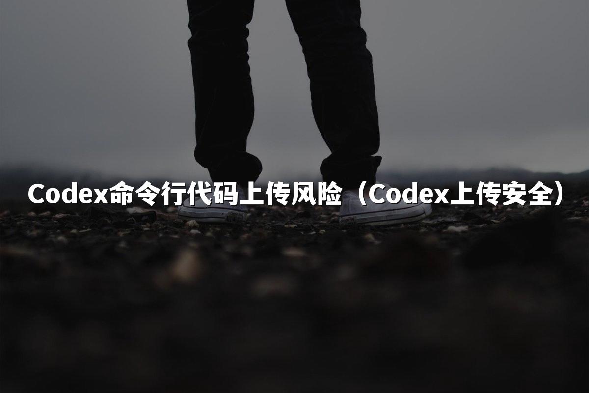 Codex命令行代码上传风险（Codex上传安全）