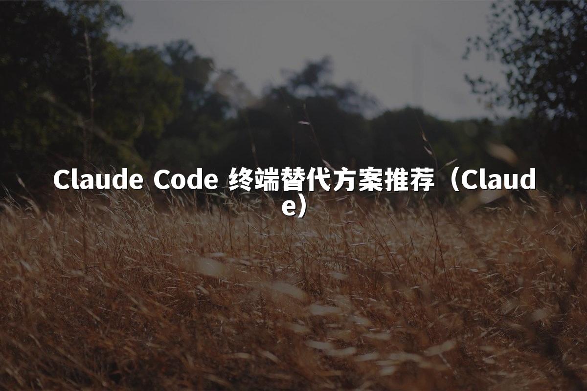 Claude Code 终端替代方案推荐（Claude）