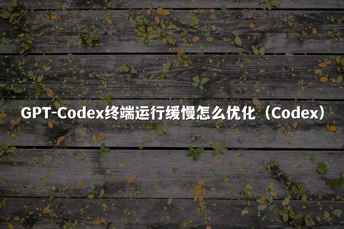 GPT-Codex终端运行缓慢怎么优化（Codex）