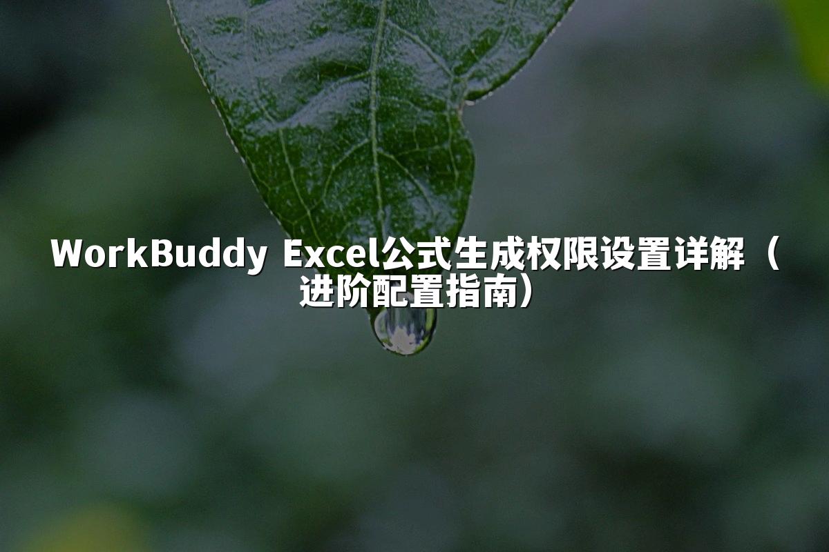 WorkBuddy Excel公式生成权限设置详解(进阶配置指南)