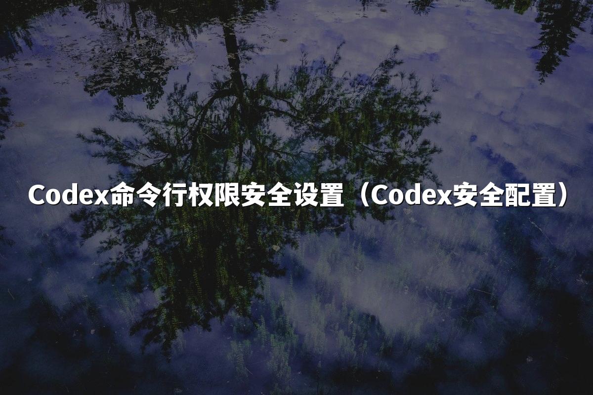 Codex命令行权限安全设置(Codex安全配置)