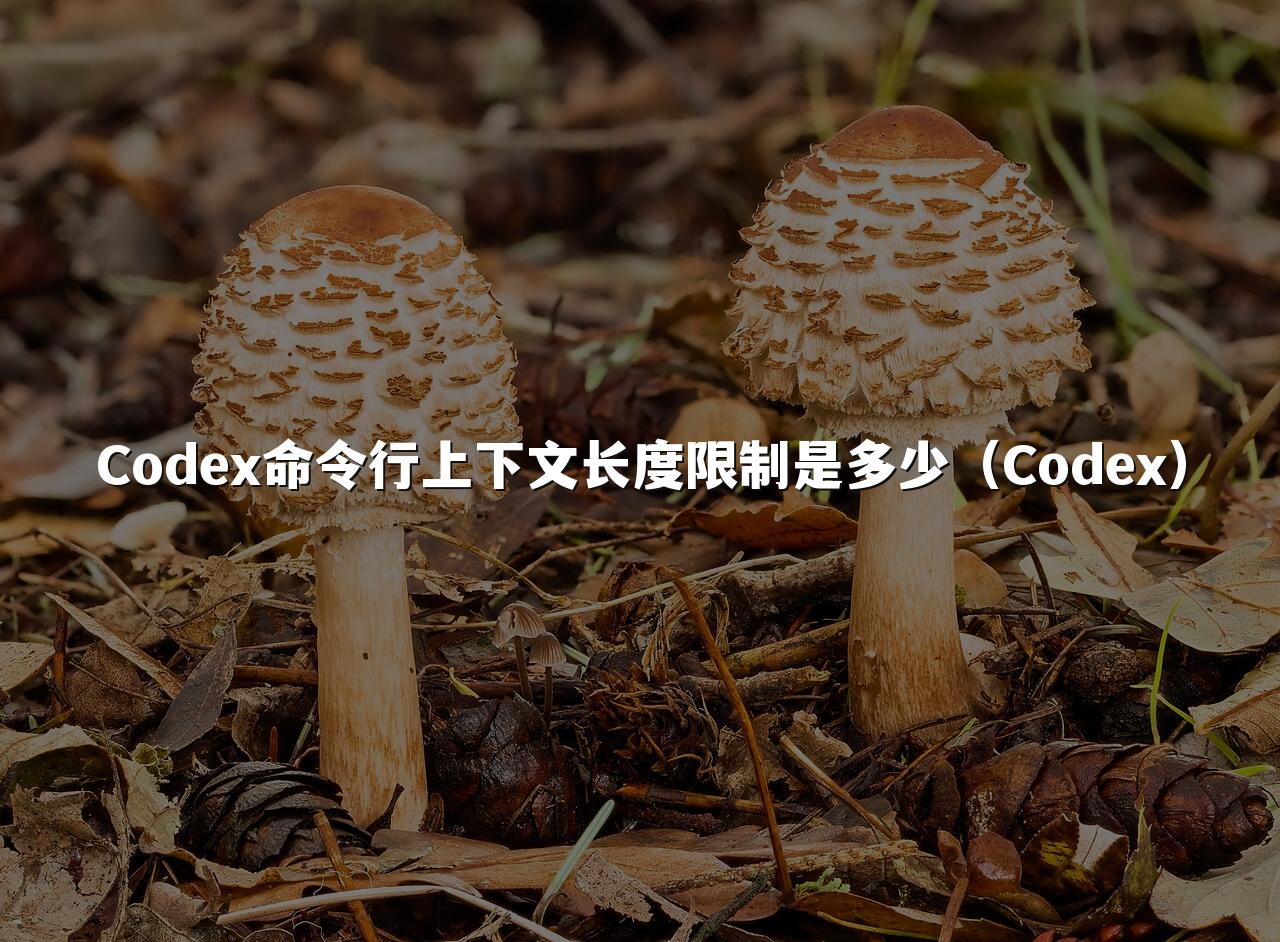 Codex命令行上下文长度限制是多少（Codex）
