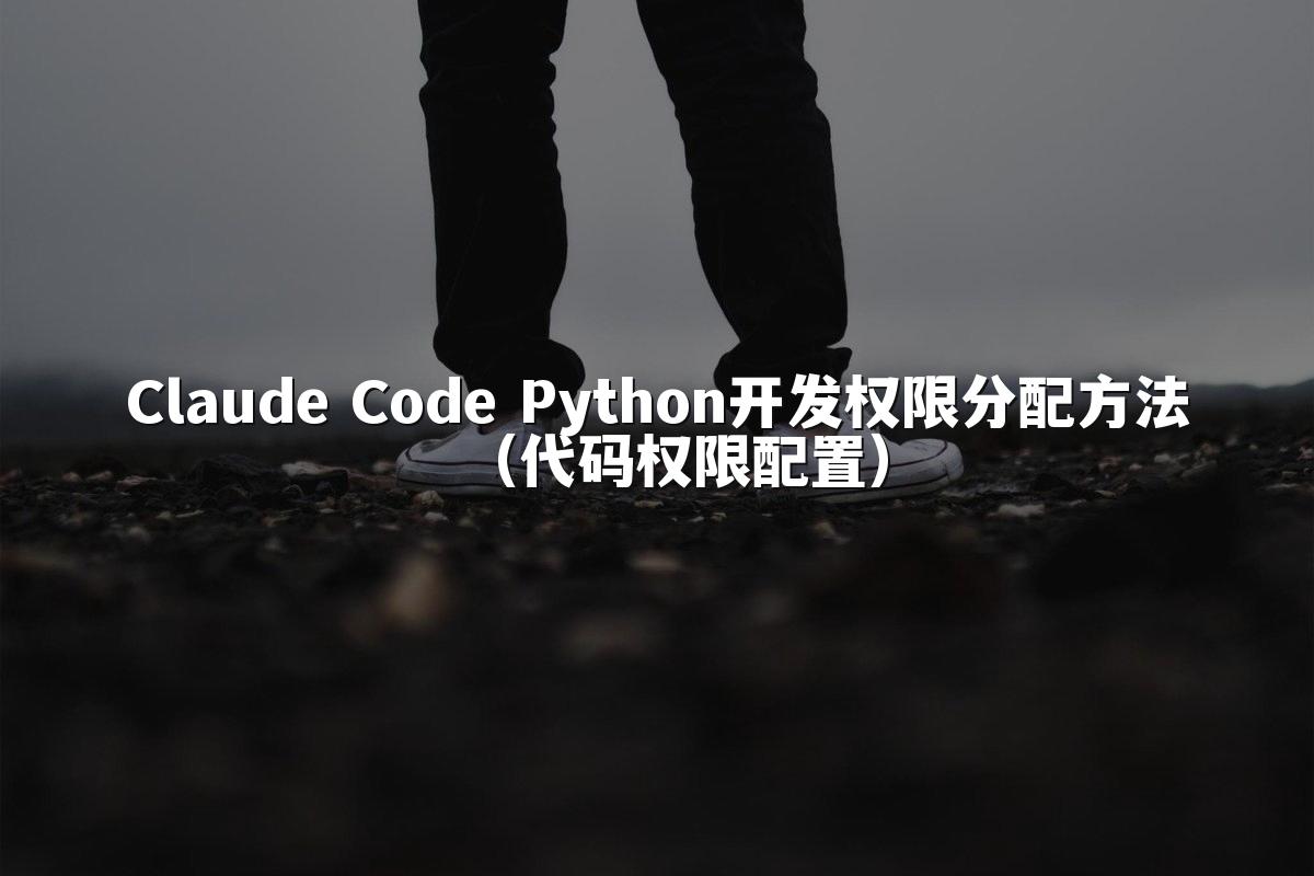 Claude Code Python开发权限分配方法（代码权限配置）
