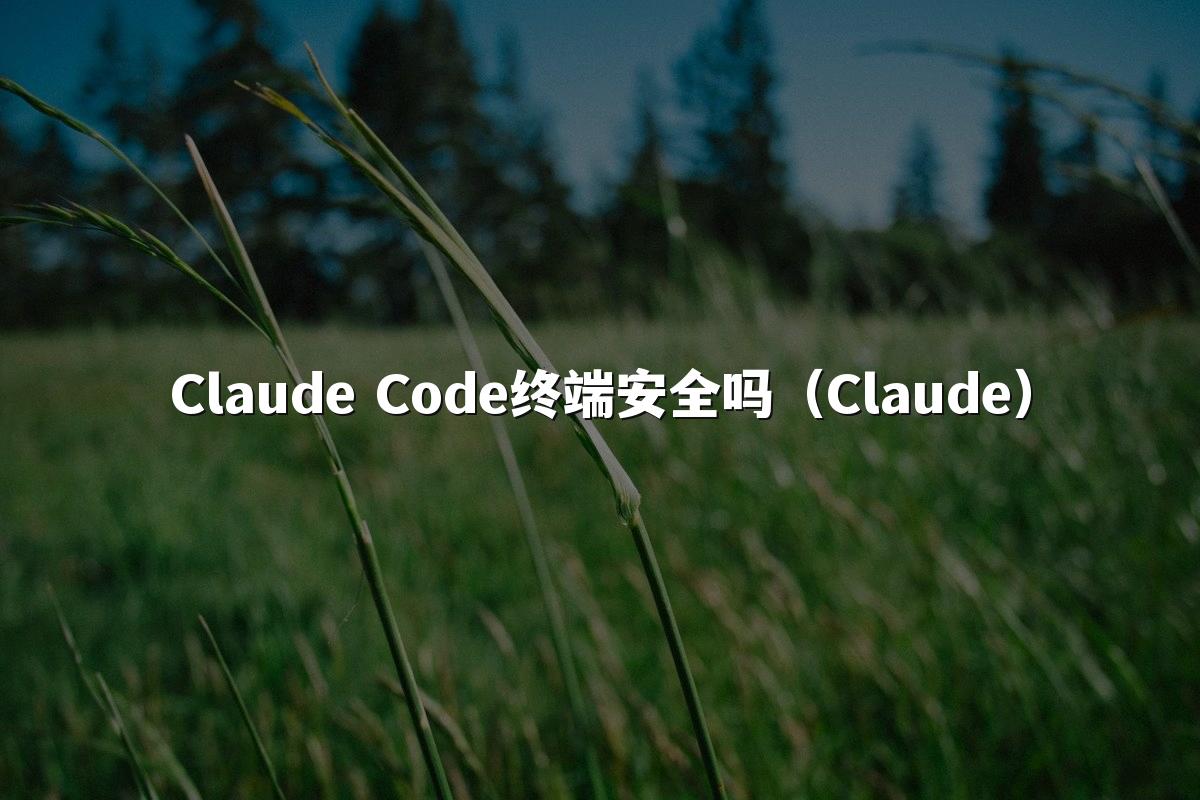 Claude Code终端安全吗（Claude）