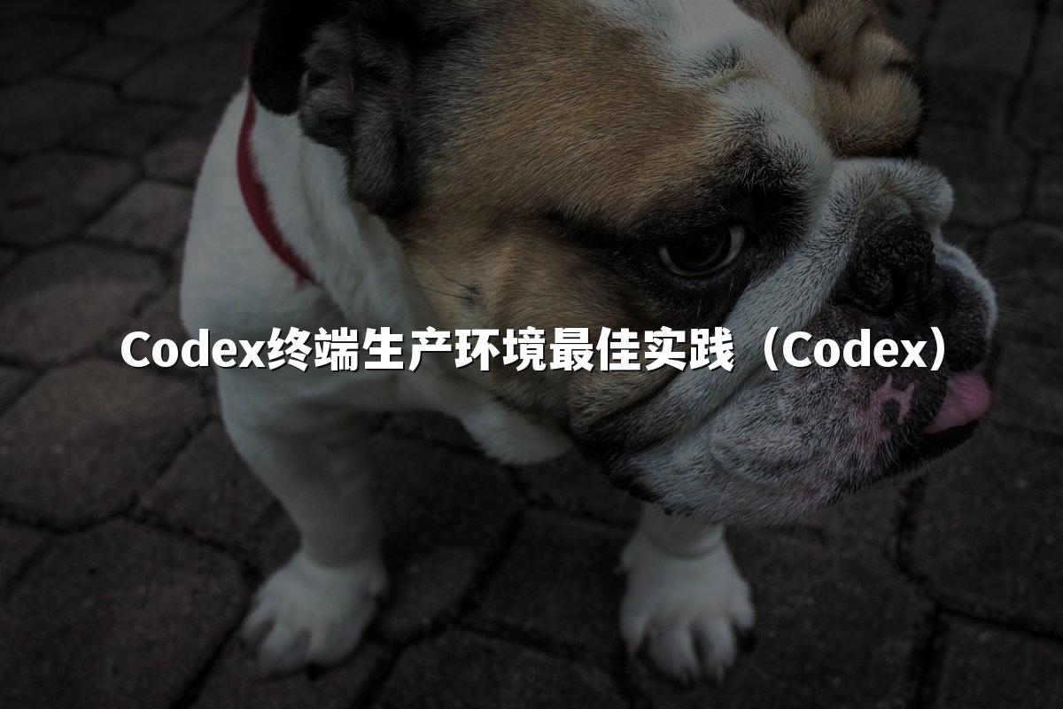 Codex终端生产环境最佳实践(Codex)