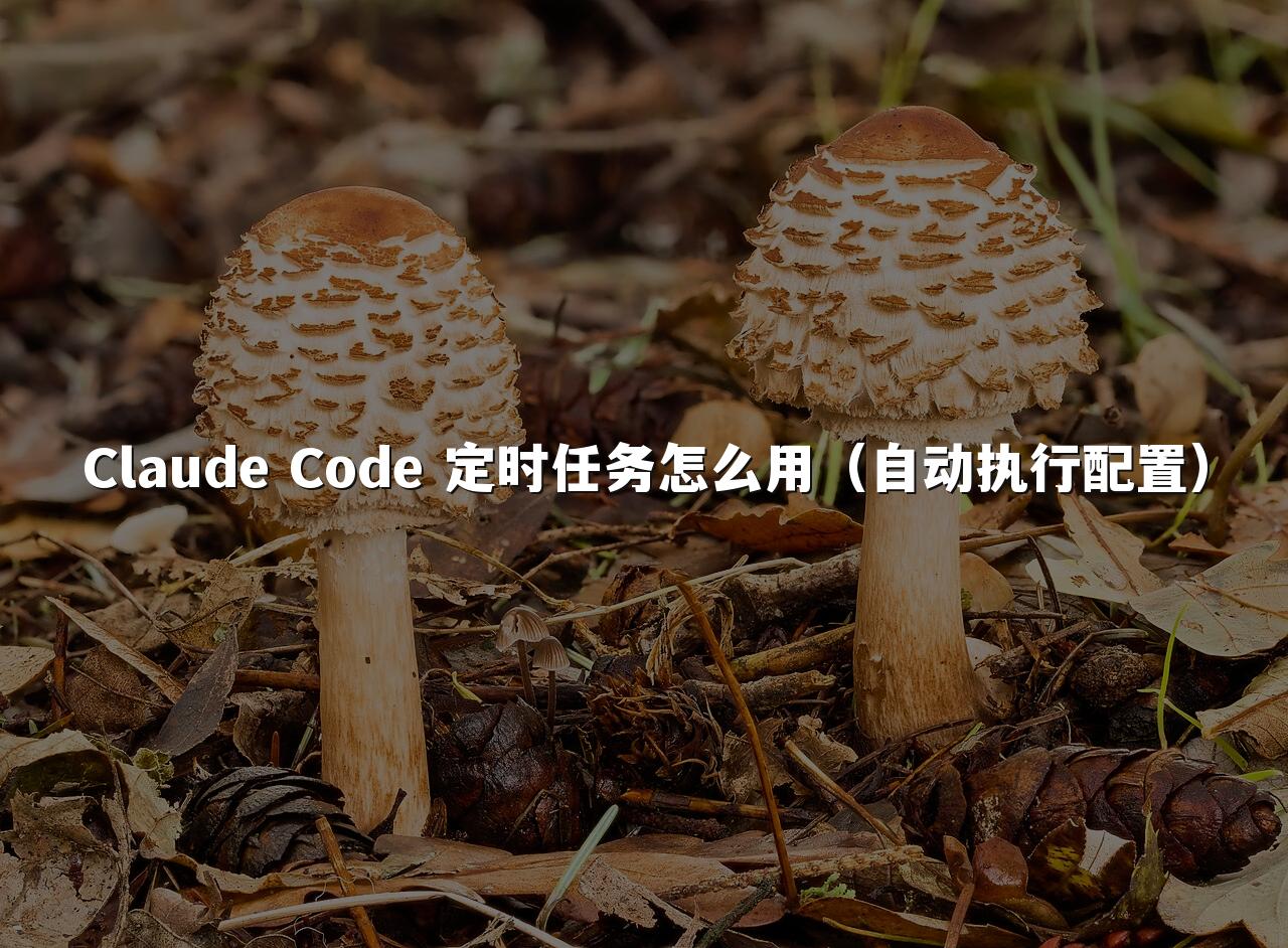 Claude Code 定时任务怎么用(自动执行配置)