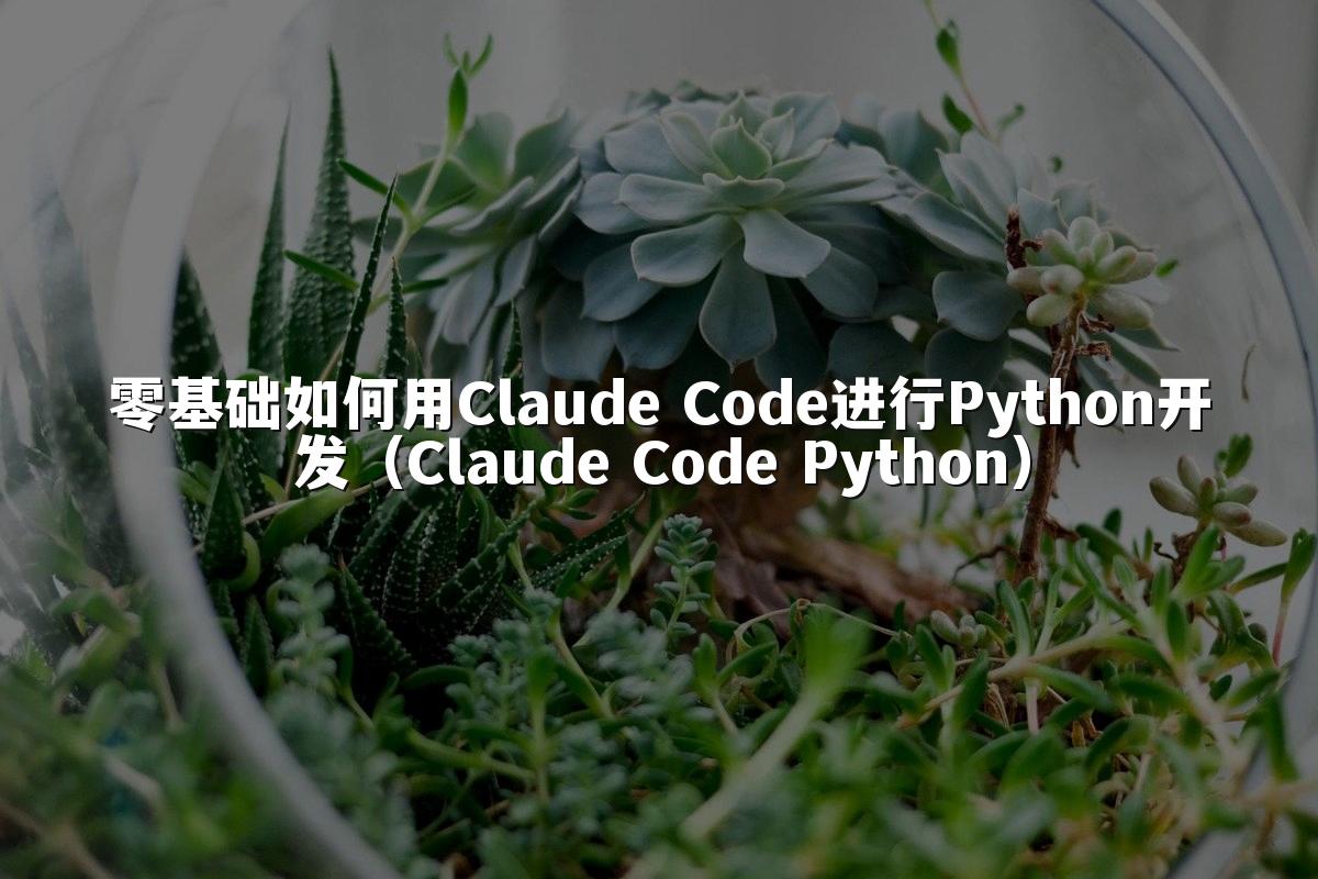 零基础如何用Claude Code进行Python开发（Claude Code Python）