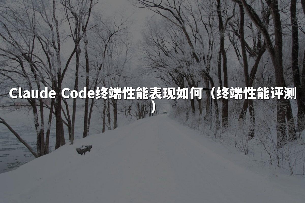 Claude Code终端性能表现如何（终端性能评测）