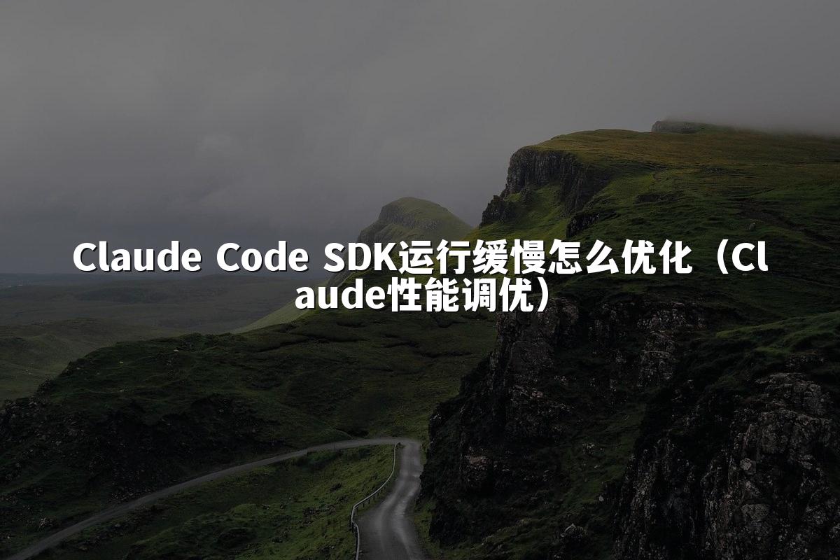 Claude Code SDK运行缓慢怎么优化(Claude性能调优)