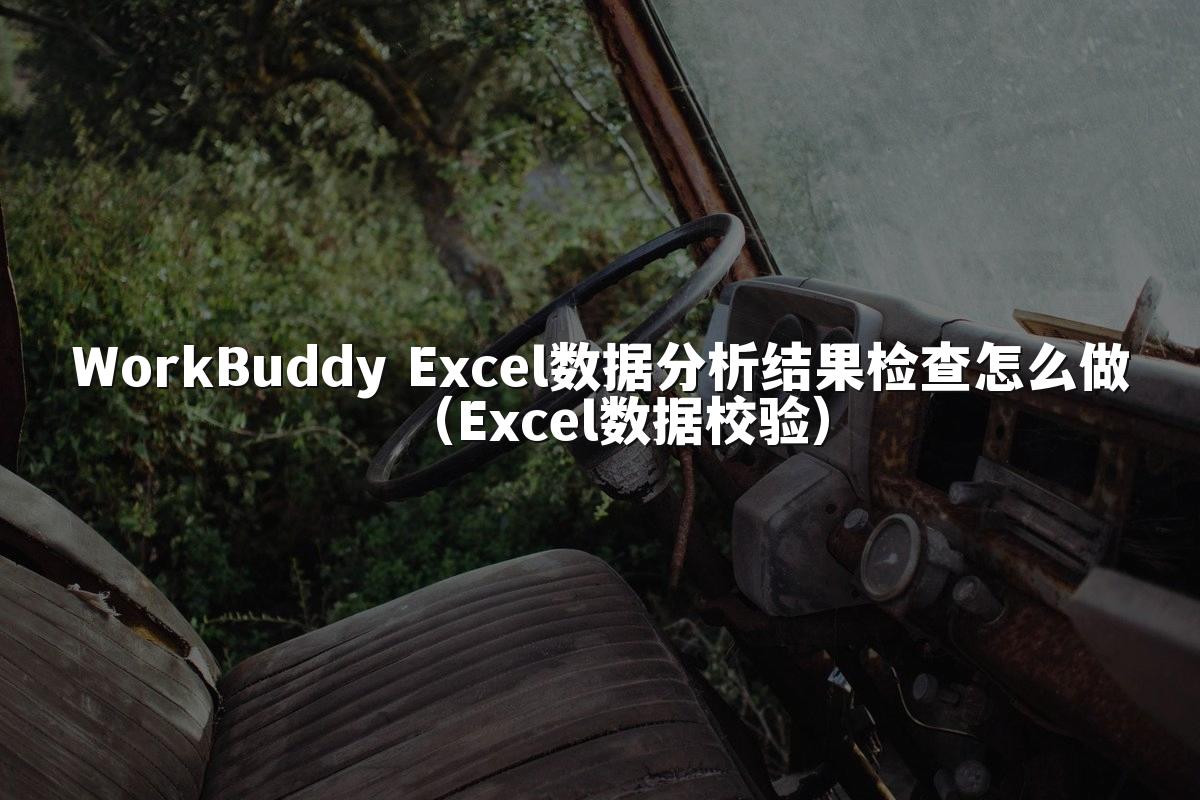 WorkBuddy Excel数据分析结果检查怎么做（Excel数据校验）