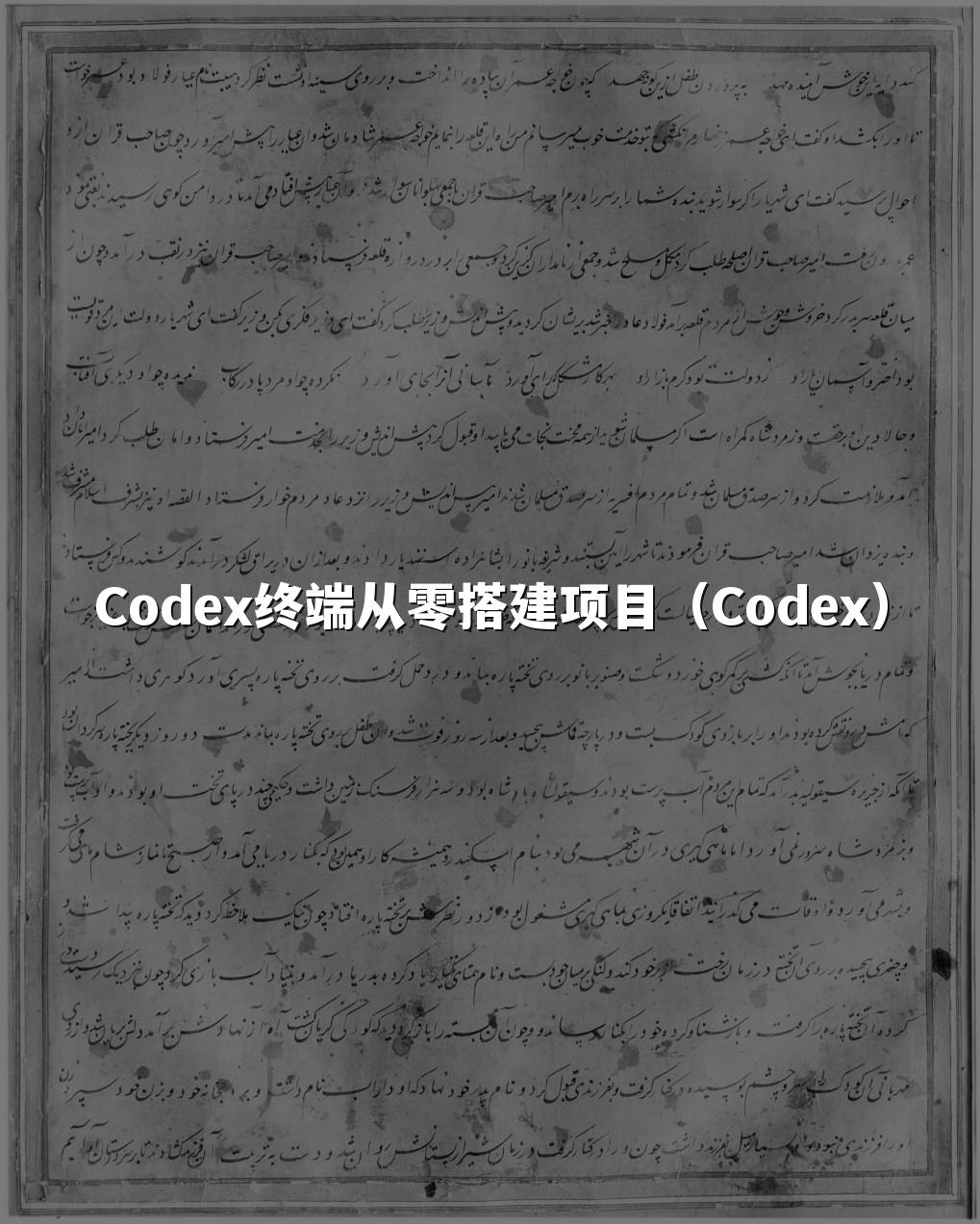 Codex终端从零搭建项目（Codex）