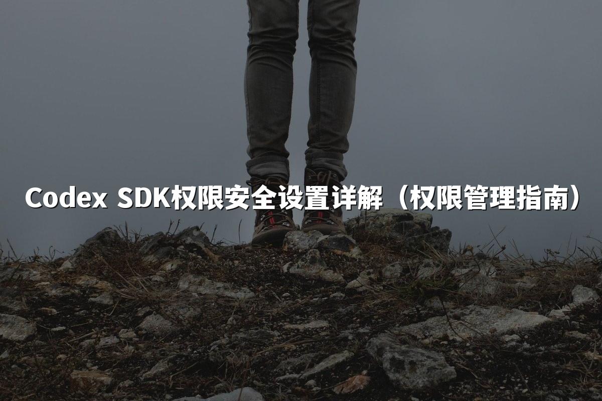 Codex SDK权限安全设置详解(权限管理指南)
