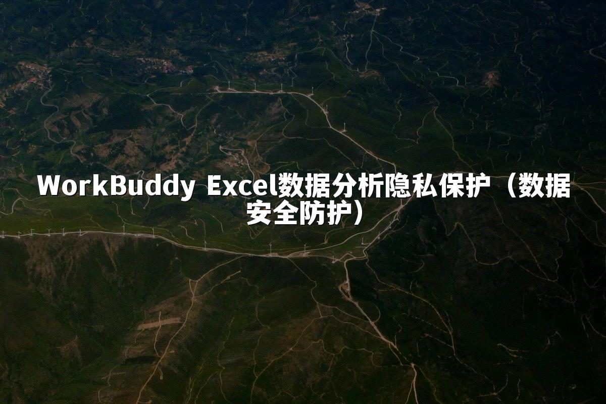WorkBuddy Excel数据分析隐私保护(数据安全防护)