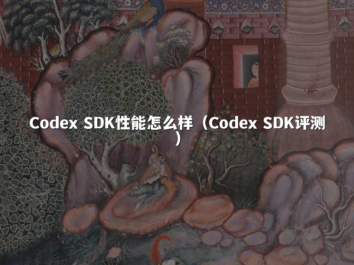 Codex SDK性能怎么样(Codex SDK评测)