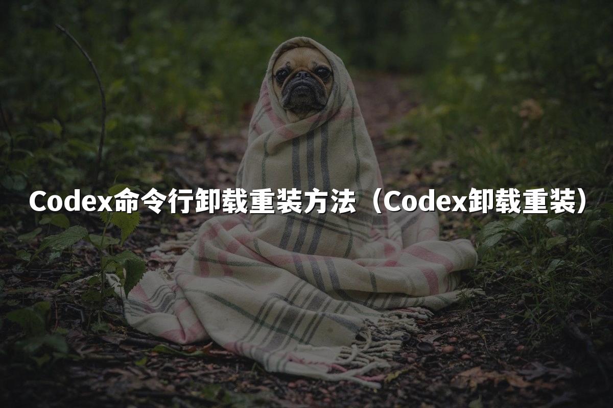 Codex命令行卸载重装方法(Codex卸载重装)