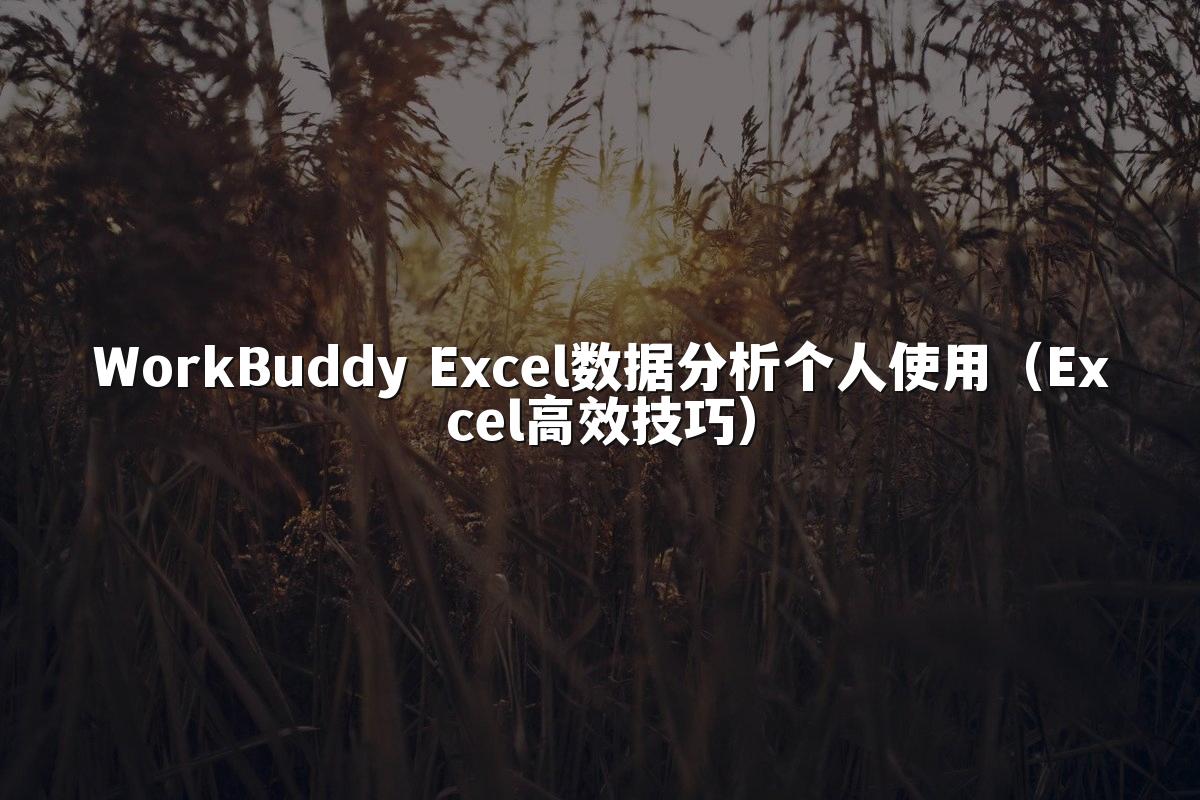 WorkBuddy Excel数据分析个人使用(Excel高效技巧)