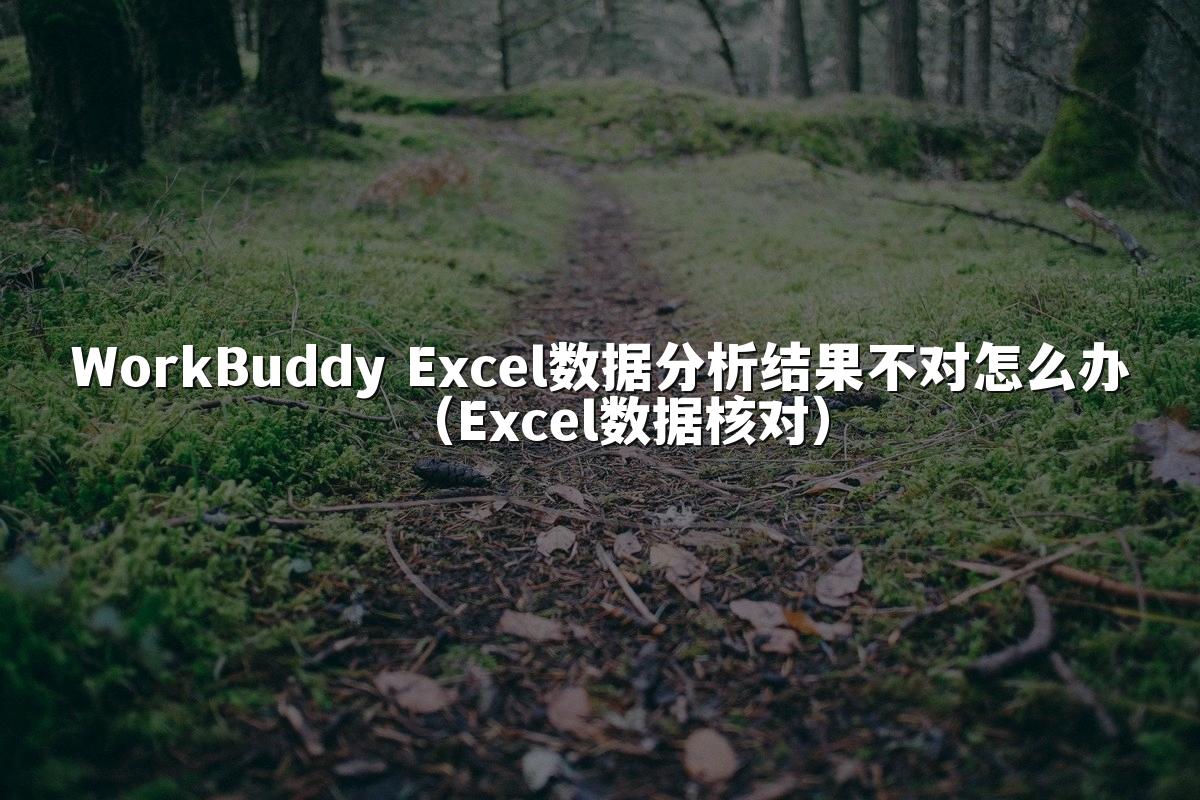 WorkBuddy Excel数据分析结果不对怎么办（Excel数据核对）