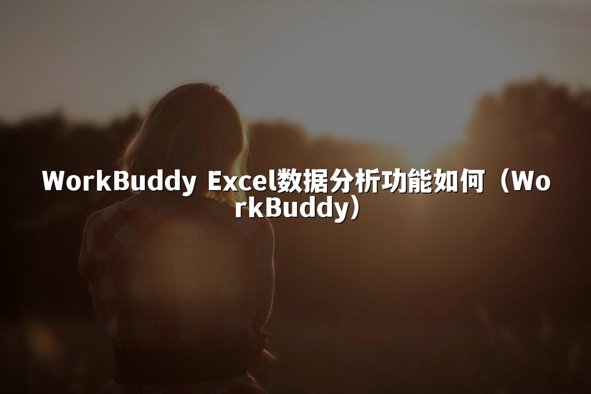 WorkBuddy Excel数据分析功能如何（WorkBuddy）