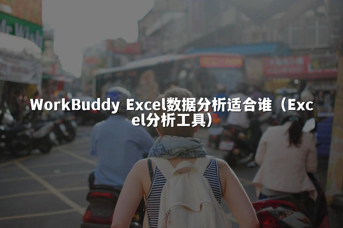 WorkBuddy Excel数据分析适合谁(Excel分析工具)