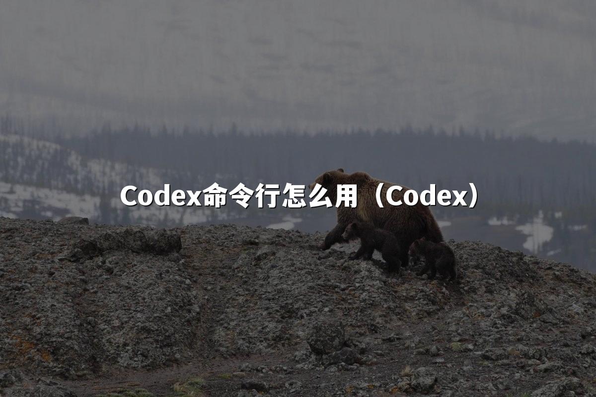 Codex命令行怎么用(Codex)