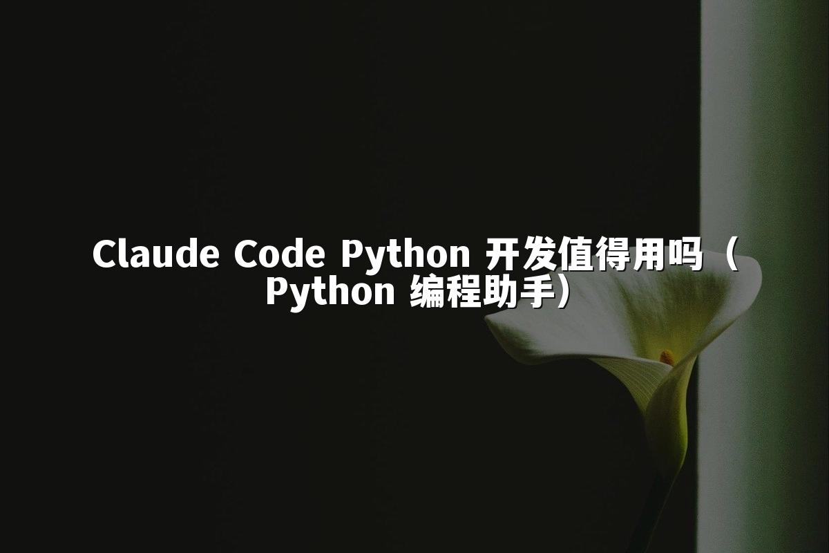 Claude Code Python 开发值得用吗（Python 编程助手）