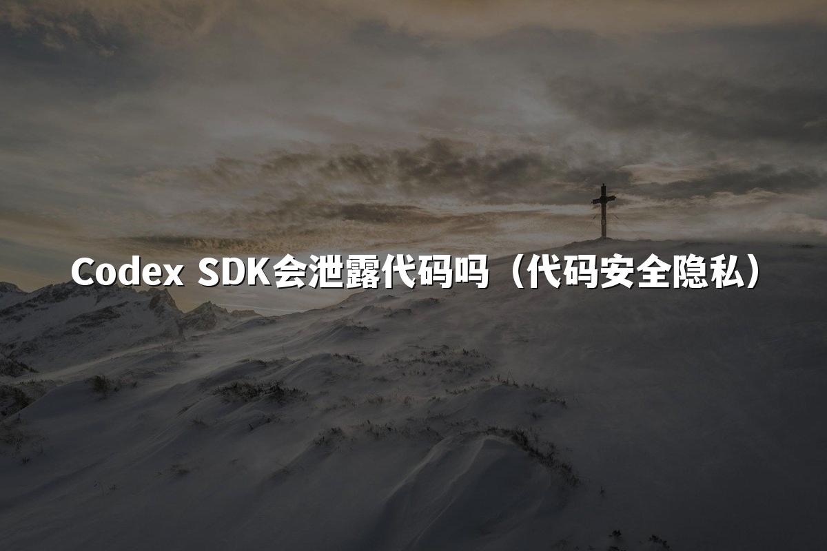 Codex SDK会泄露代码吗(代码安全隐私)