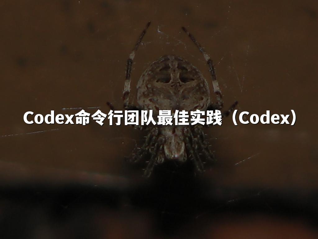 Codex命令行团队最佳实践（Codex）