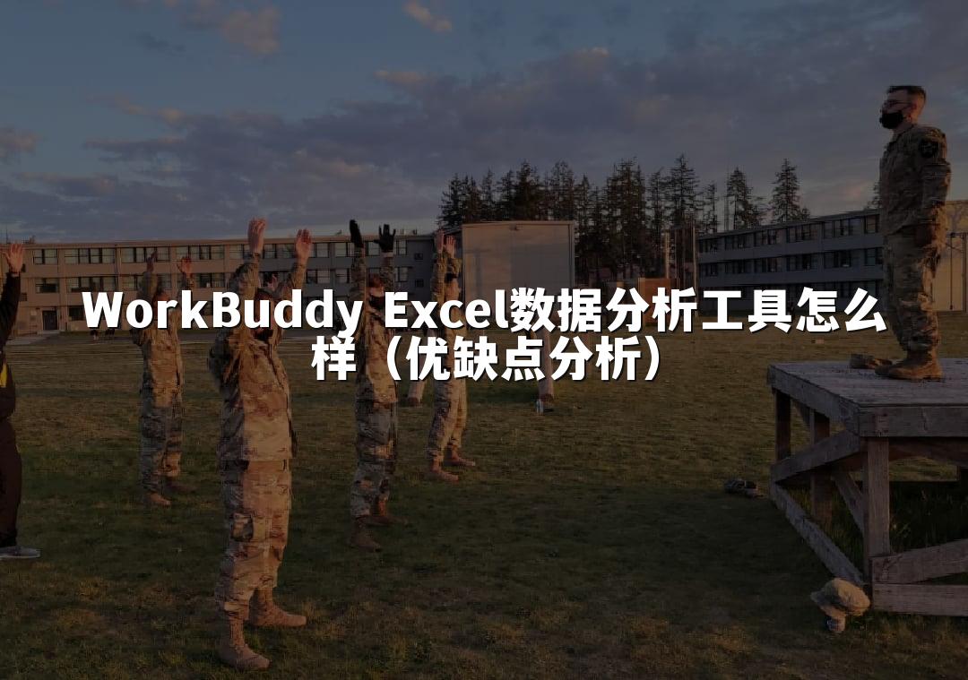 WorkBuddy Excel数据分析工具怎么样(优缺点分析)