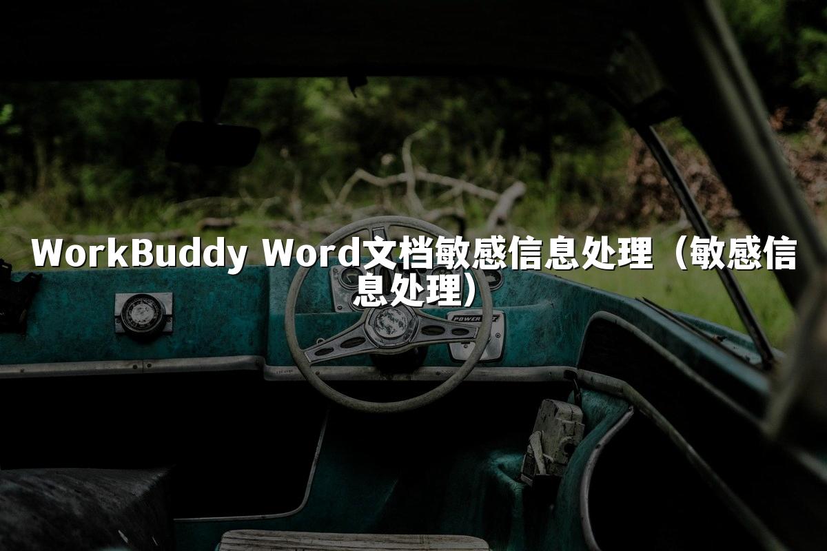 WorkBuddy Word文档敏感信息处理(敏感信息处理)