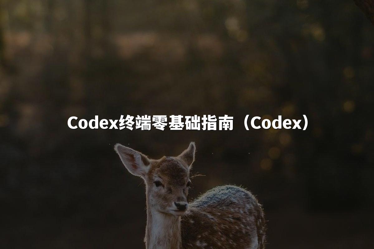 Codex终端零基础指南（Codex）
