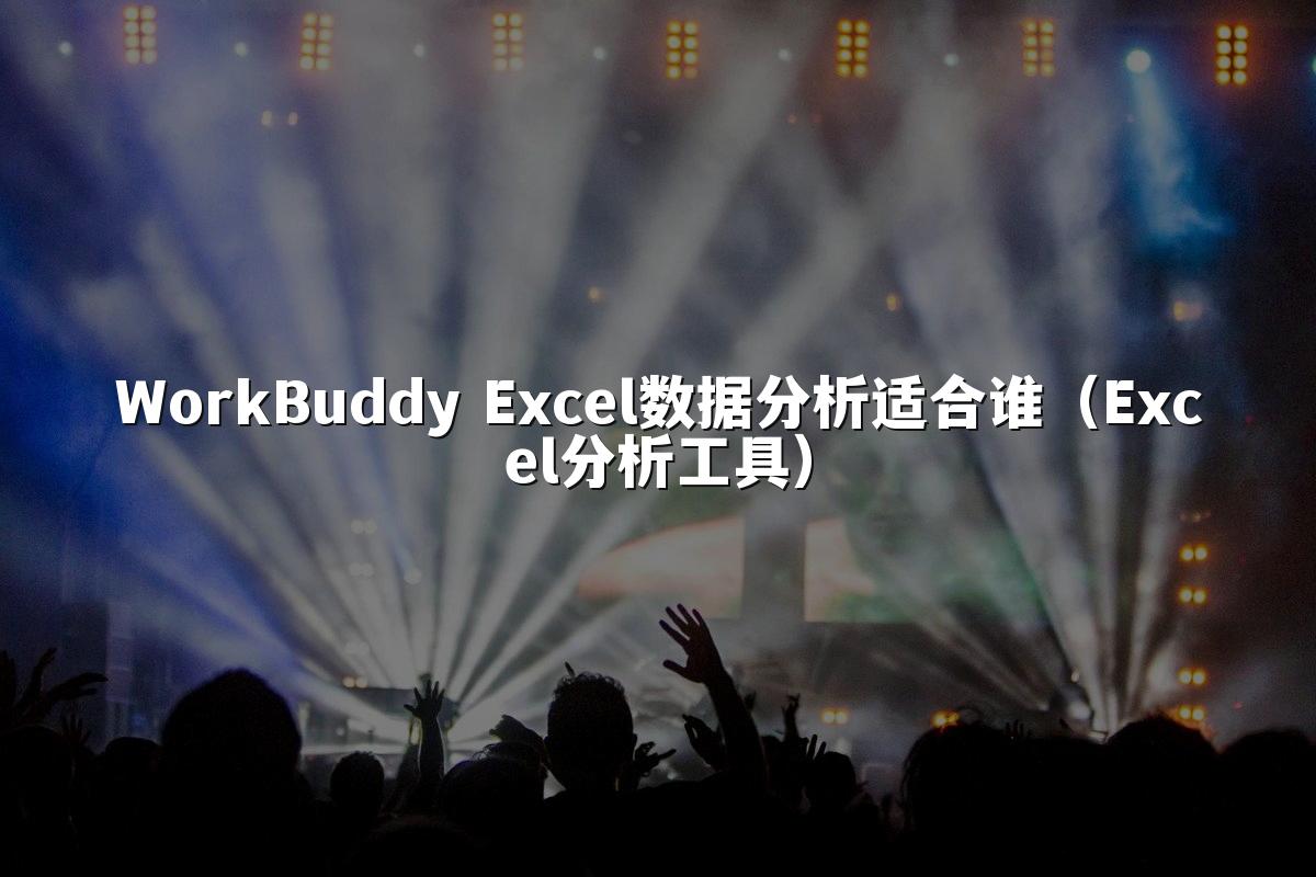WorkBuddy Excel数据分析适合谁（Excel分析工具）