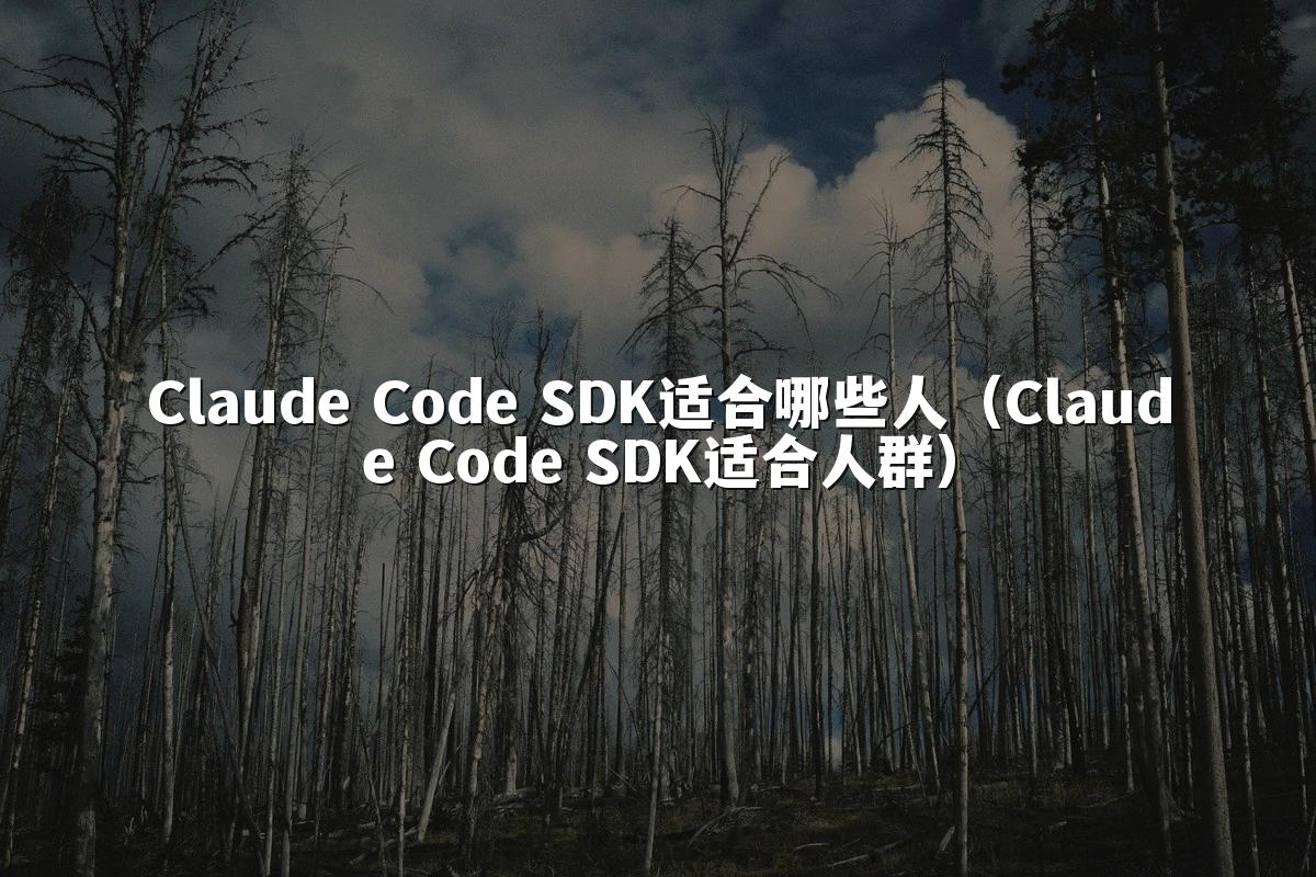 Claude Code SDK适合哪些人(Claude Code SDK适合人群)