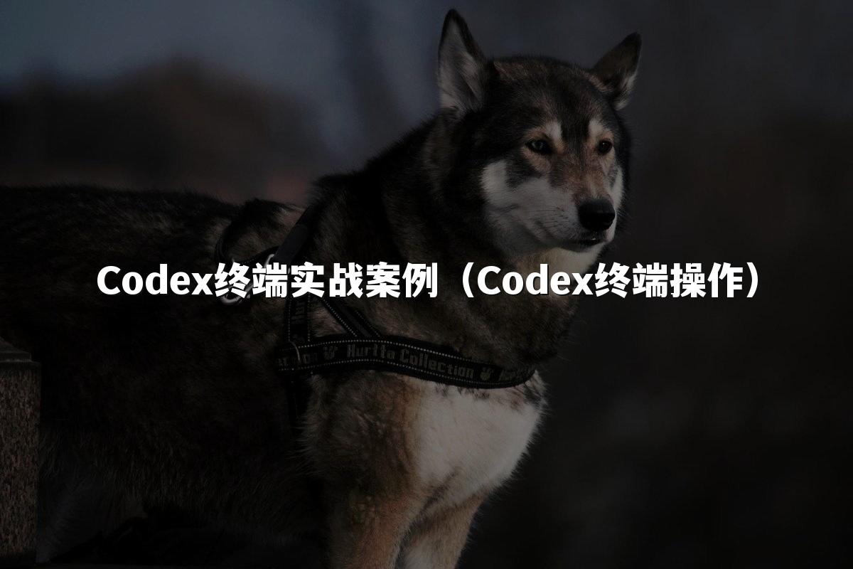 Codex终端实战案例（Codex终端操作）