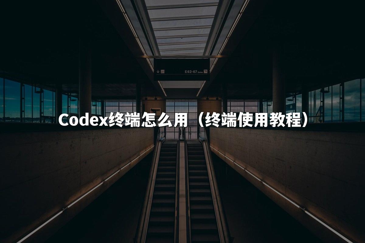 Codex终端怎么用(终端使用教程)