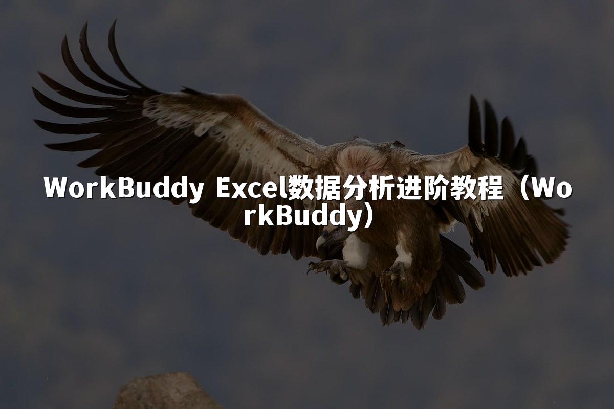 WorkBuddy Excel数据分析进阶教程（WorkBuddy）