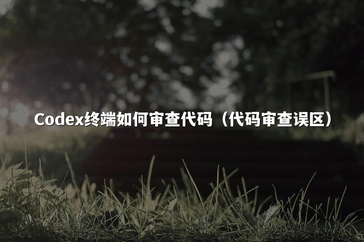 Codex终端如何审查代码（代码审查误区）