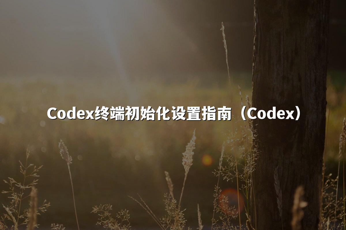 Codex终端初始化设置指南(Codex)