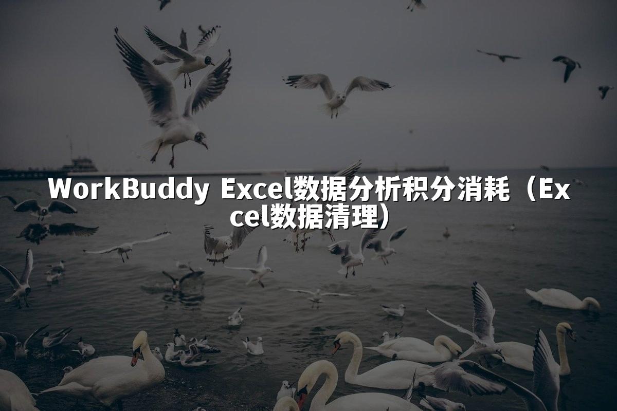 WorkBuddy Excel数据分析积分消耗（Excel数据清理）
